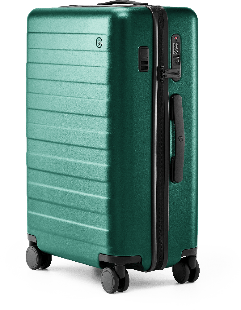 Ninetygo luggage 24. Ninetygo Rhine Pro Plus 24. Ninetygo, Rhine Pro Plus зеленый. Чемодан ninetygo Rhine Pro Luggage 24" черный. Чемодан ninetygo Rhine Pro Luggage 24" синий.