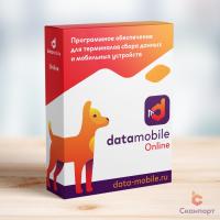 DataMobile, версия Online - подписка на 1 месяц