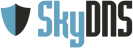 SkyDNS