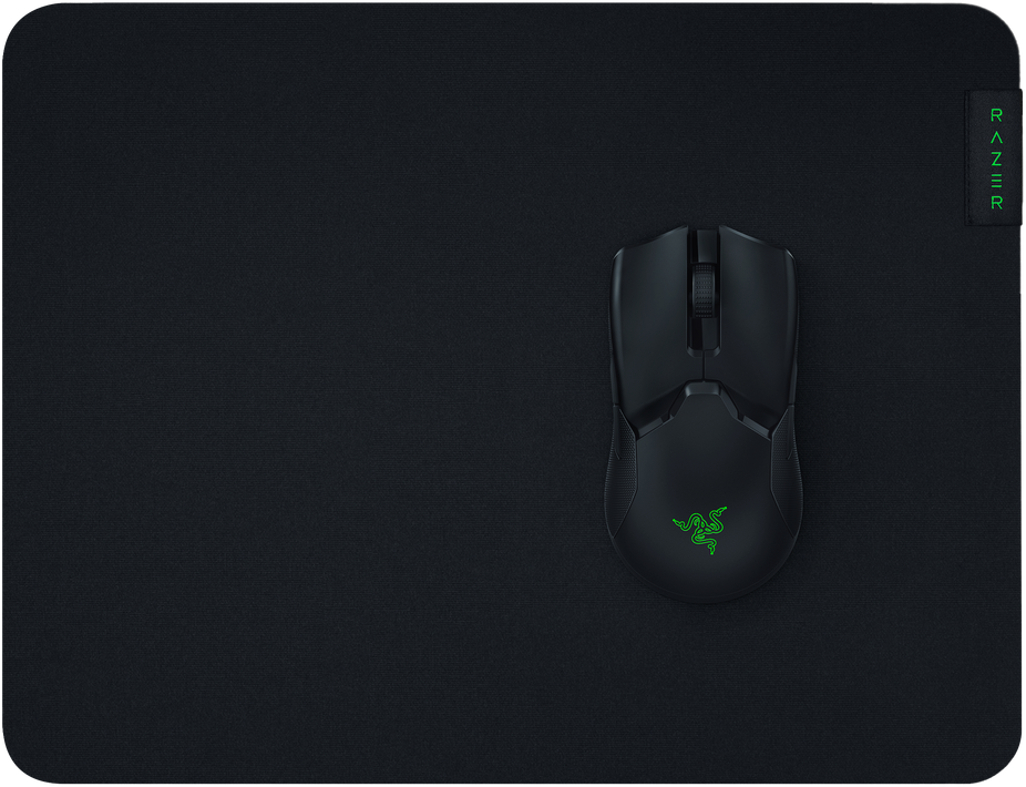 Razer gigantus