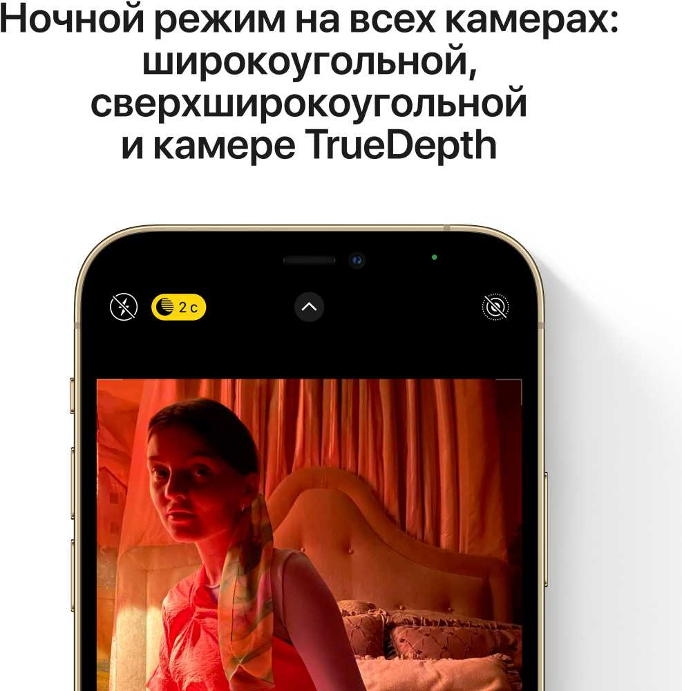 Купить Apple iPhone 12 Pro Max CPO 256 Гб синий тихоокеанский, ЕС  [FGDF3QL/A] в интернет-магазине Неватека по выгодной цене с доставкой,  характеристики, фотографии - Санкт-Петербург