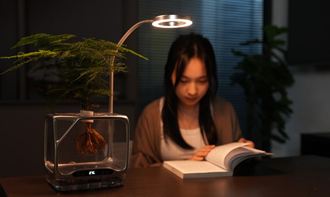 Аэропоника на столе: девайс «3 в 1» заменил горшок, землю и лейку. Смотрим на архитектуру корней.  Текст поста: