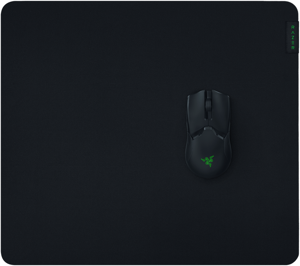 Razer gigantus