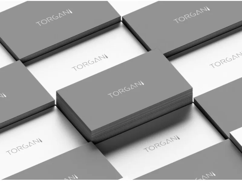 Питерский техно-Эрмитаж теперь и на B2B-платформе TORGANI