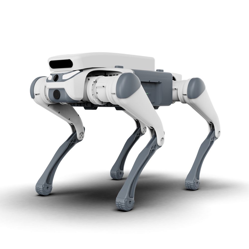 Купить Бионический четырехопорный робот бренда DeepRobotics модели Lite3 версии Pro в интернет-магазине Неватека по выгодной цене с доставкой, характеристики, фотографии - Санкт-Петербург