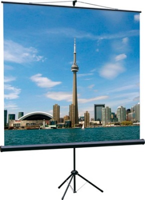 Экран на треноге Lumien 200x200см Eco View LEV-100103 1:1 напольный рулонный