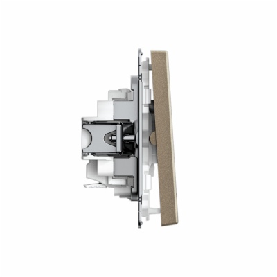 ARTGALLERY 2-клавишный ВЫКЛЮЧАТЕЛЬ с подсветкой, сх.5а, 10АХ, механизм, быстрозажимные клеммы, ШАМПАНЬ