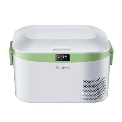 Мобильный холодильник HC-12P1 БИРЮСА