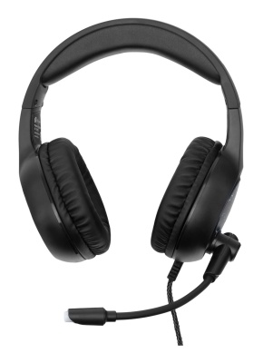 Наушники с микрофоном Оклик HS-L930G SNORTER черный 2м мониторные USB оголовье (HS-L930G)