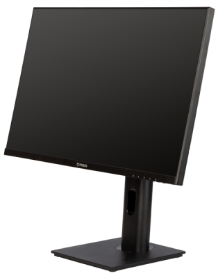 Монитор IRBIS  24 23.8'' LED Monitor 1920x1080, 16:9, IPS, 300 cd/m2, 1000:1, 5ms, 178°/178°, VGA, HDMI, DP, PJack, Audio output, 100Hz, speak, наклон, внутр. бп.  Black (РФ) 3г (24FIDS123.100_MIR)
