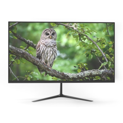 Монитор Aiwa [MF2403-V] 24