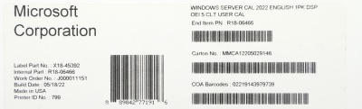 Windows Server CAL 2022 English 1pk DSP OEI 5 Clt User CAL