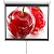 Экран 180x240см Digis Optimal-D DSOD-4304 1:1 настенно-потолочный рулонный