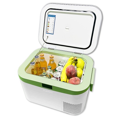 Мобильный холодильник HC-12P1 БИРЮСА