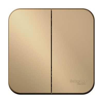 Systeme electric BLNVA105014 BLANCA О/У 2-клавишный ВЫКЛЮЧАТЕЛЬ ( c х .5) ИЗОЛ.ПЛ., 10А, 250B, ТИТАН