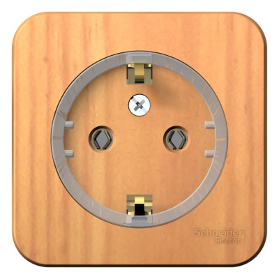 Systeme electric BLNRA110115 BLANCA О/У РОЗЕТКА с заземлением без шторок,(КОМПАКТ) ИЗОЛ.ПЛ. 16А, 250В, ЯСЕНЬ