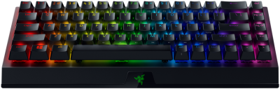 Игровая клавиатура Razer BlackWidow V3 Mini HyperSpeed (Green Switch) - Russian Layout Razer BlackWidow V3 Mini (RZ03-03891600-R3R1)