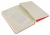 Блокнот Moleskine CLASSIC QP061R Large 130х210мм 240стр. клетка твердая обложка красный