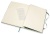 Блокнот Moleskine CLASSIC QP093K15 XLarge 190х250мм 192стр. пунктир твердая обложка зеленый Блокнот Moleskine CLASSIC QP093K15 XLarge 190х250мм 192стр. пунктир твердая обложка зеленый