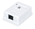 Cabeus WS-8P8C-Cat.5e-1 Розетка компьютерная RJ-45, категория 5e, одинарная, внешняя, Dual IDC (WS-8P8C-Cat.5e-1)