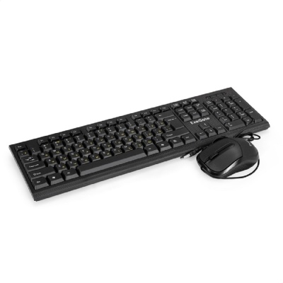 Комплект ExeGate Professional Standard Combo MK170 (клавиатура влагозащищенная 104кл. + мышь оптическая 1200dpi, 3 кнопки и колесо прокрутки, длина кабелей 1,5м; USB, черный, RTL)