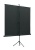 Экран на треноге Lumien 160x160см Eco View LEV-100105 1:1 напольный рулонный