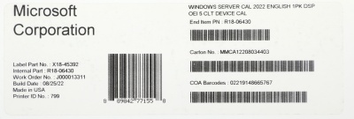 Windows Server CAL 2022 English 1pk DSP OEI 5 Clt Device CAL