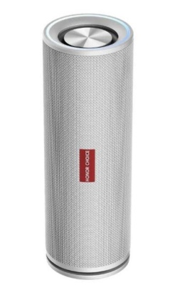 Акустическая система BTH 5W WHITE PRO 5504AAVN VNC-ME00 HONOR CHOICE