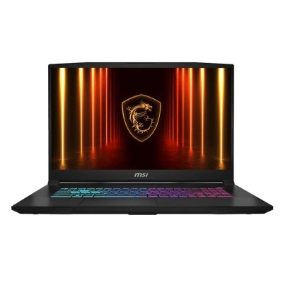 Ноутбук MSI Katana 17 HX B14WFK-276XRU Intel Core i7-14650HX/32Gb/SSD1Tb/RTX5060 8Gb/17.3"/IPS/QHD/2560x1440/240Hz/NoOS/Black/2.7kg (9S7-17L791-276)