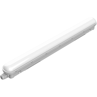 Пылевлагозащищенный светильник Philips Philips WT018C 20S/840 PSU L600 (911401826185)