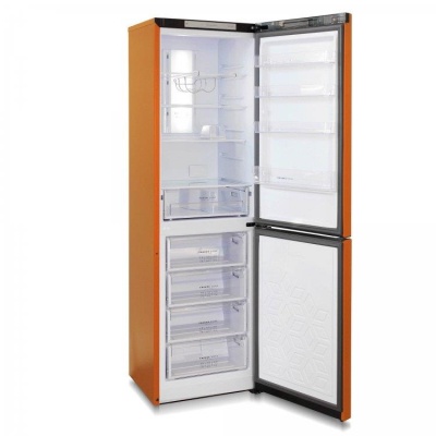 Холодильник T980NF БИРЮСА