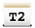 T2