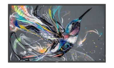 Панель Philips 55" 55BDL3511Q/00 черный LED 8ms 16:9 DVI HDMI 1300:1 400cd 178гр/178гр 3840x2160 VGA DP USB 16.6кг