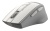 Мышь A4Tech Fstyler FG30S белый/серый оптическая (2000dpi) silent беспроводная USB (6but) Мышь A4Tech Fstyler FG30S белый/серый оптическая (2000dpi) silent беспроводная USB (6but)