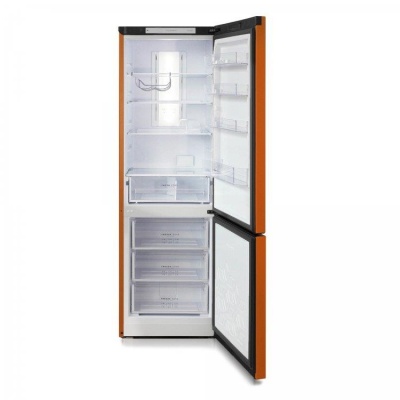 Холодильник T960NF БИРЮСА