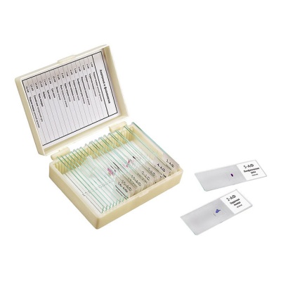 Набор микропрепаратов Микромед Анатомия и физиология 25предм. белый (22750)