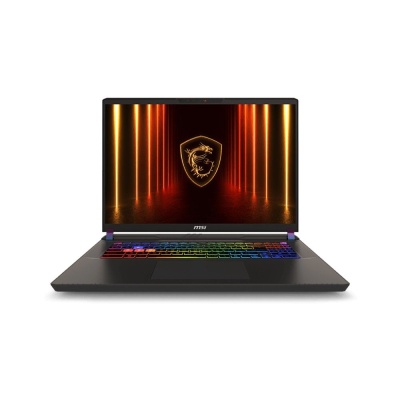 Ноутбук MSI Vector A16 HX A8WHG-033XRU AMD Ryzen 9 8940HX/16Gb/SSD1Tb/RTX5070Ti 12Gb/16"/IPS/WQXGA/2560x1600/240Hz/NoOS/Cosmos Gray (9S7-15MM72-033)