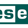 Неименные лицензии (EKEY)/Электронные ключи (ESD)