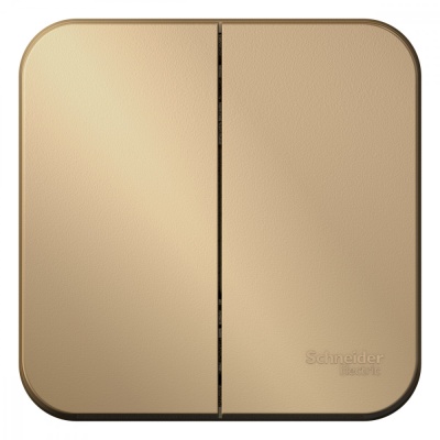 Systeme electric BLNVA105014 BLANCA О/У 2-клавишный ВЫКЛЮЧАТЕЛЬ ( c х .5) ИЗОЛ.ПЛ., 10А, 250B, ТИТАН