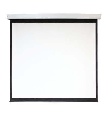 Экран 202x270см Digis Electra-F DSEF-4315 4:3 настенно-потолочный рулонный (моторизованный привод)