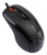 Мышь A4Tech V-Track F5 черный/рисунок оптическая (3000dpi) USB (6but) Мышь A4Tech V-Track F5 черный/рисунок оптическая (3000dpi) USB (6but)