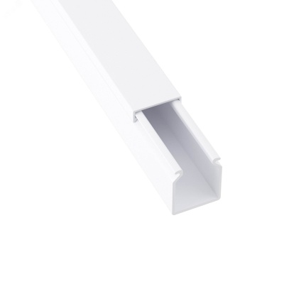 Dkc 00323 TA-EN 25 x 30 Короб с крышкой с плоской основой ( 2 метра)