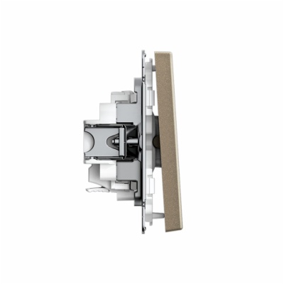 ARTGALLERY 1-клавишный ВЫКЛЮЧАТЕЛЬ, 10АХ, механизм, быстрозажимные клеммы, ШАМПАНЬ