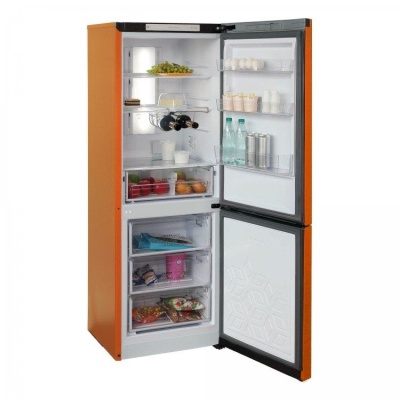 Холодильник T920NF БИРЮСА