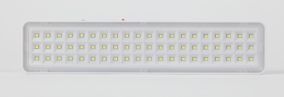 Светильник светодиодный аварийный непостоянный DBA-103-0-20 60LED 5ч IP20 (40/1600) ЭРА Б0044396