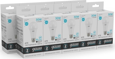 Лампа светодиодная Gauss Globe Elementary 30Вт цок.:E27 груша 220B 4100K св.свеч.бел.ней. А67 (упак.:1шт) (73229)