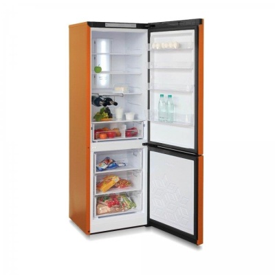 Холодильник T960NF БИРЮСА