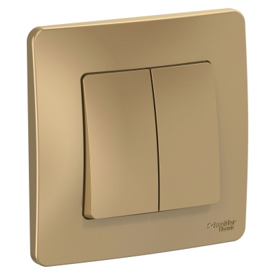 Systeme electric BLNVS010504 BLANCA С/У 2-клавишный ВЫКЛЮЧАТЕЛЬ ( c х .5), 10А, 250B, ТИТАН