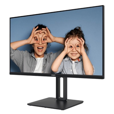 Монитор MSI PRO MP251P 24.5" 16:9 FHD(1920x1080) IPS Flat,1ms(MPRT),1300:1,100M:1,300nit,178/178,HDMI 1.4,VGA(D-Sub),Speaker,Tilt,Swivel,Height,Pivot,VESA,100Hz,Black,1y war-ty (9S6-3PC29M-033)