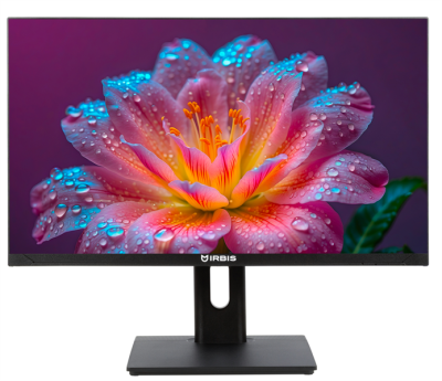 Монитор IRBIS SMARTVIEW 24 23.8'' LED Monitor 1920x1080, 16:9, IPS, 300 cd/m2, 1000:1, 5ms, 178°/178°, USB-C(65W),HDMI, DP, USB 2.0x2,Audio out, Speak,100Hz, Tilt,Height,Swivel,Pivot,внеш.бп, Black 3y (China)